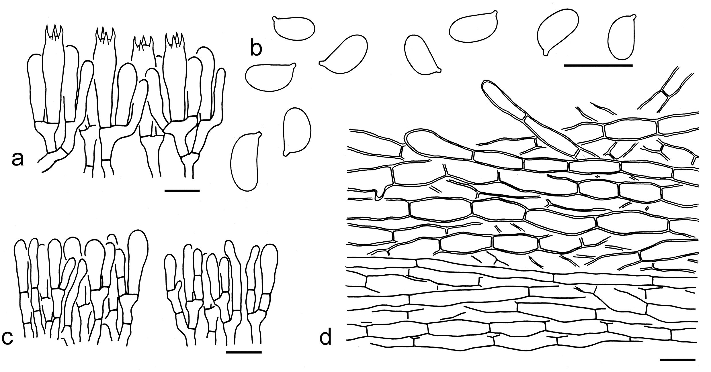 Figure 94